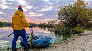 🐦‍🔥КРУТЕЗНА ОСІННЯ РИБОЛОВЛЯ! 🐟 Окунь,судак на спінінг, на силікон!