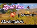 ZYRAH PACO vs Baby920 Sharlet 1st Heat Ladies Category Invitational Maramag Bukidnon