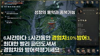 리니지w 토벌상점에서 빠르게 용사의가호 구매하시죠 추가경험치10%물방,마방3 파던1바퀴면 가능합니다 무소과금기사브스