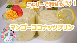 マンゴーココナッツプリンのレシピを猫が解説します☆冷凍マンゴーで簡単！Mango coconut pudding