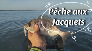 PÊCHE aux JACQUETS, de L'ENCORNET pour du GRISET