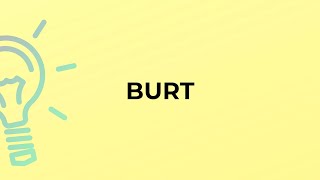 What is the meaning of the word BURT?