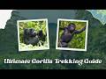Ultimate gorilla trekking guide | Wander Africa