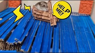Amazing Hamster Swimming on the sea Maze DIY