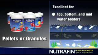 Nutrafin Aquarium Products