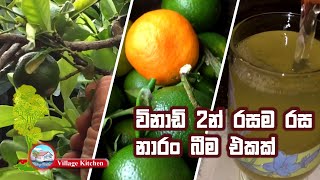 Naran Juice විනාඩි 2න් නාරං බීම එකක් හදාගමු | Village Kitchen Food Recipes තුන පහ Thuna Paha