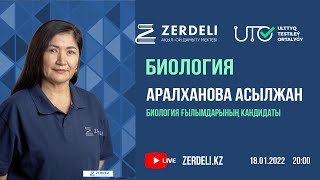 ҰБТ-ға тегін дайындық/ Биология / Өсімдіктердің ерекшеліктерін сипаттау