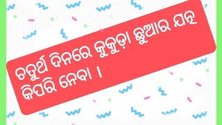 ଚତୁର୍ଥ ଦିନରେ କୁକୁଡ଼ା ଛୁଆର ଯତ୍ନ କିପରି ନେବା ।( How to take care of chicks on the 4th day.) #poultry