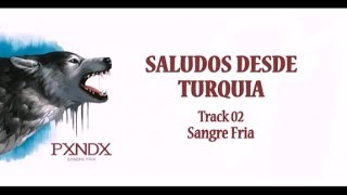 Saludos desde Turquía - Panda (Letra) HD