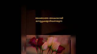 അടങ്ങാത്ത അലകടലായി മനസ്സുകളോടിയണയുന്ന നഗരിയിതേ..... Nafia'S Islamic Art