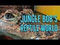 Reseller Spotlight: Jungle Bob's Reptile World