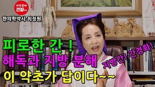 피로한 간! 해독과 지방분해 이 약초가 답이다~