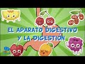 EL APARATO DIGESTIVO Y LA DIGESTIÓN | Videos Educativos para Niños