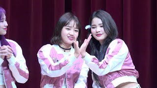 181117  위키미키(weki meki)  '싸인회 마치고 토크 part.3'   4K 직캠(fancam)  @팬싸인회 판교글로벌R\u0026D센터