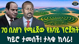 70 ቢሊየን የሚፈጀው የአባይ ፕሮጀክት ካይሮ ታመሰች! ታላቁ ኪሳራ! September 22, 2024