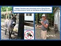 Happy Donkey gets brushed with a Dog Slicker and wiped down with an All-Natural Fly Deterrent