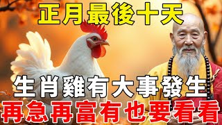 生肖雞注意了！正月最後十天，生肖雞有大事發生，再急再富有也要看看！【禪語明心】#生肖 #運勢 #風水 #財運  #生肖運勢 #生肖運程  #預言