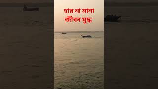 @7090ovi #জীবন যুদ্ধ #নদীর জীবন #মাঝি#shortvedio #nature#riverview#Boat#youtube