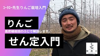 【りんご栽培入門】＃2　高密植栽培ふじの整枝・せん定、誘引【解説・実践編】