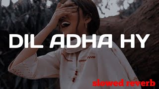 DIL ADHA HY | saraiki song | |slowed+reverb | slowed ast | Dil adha hy