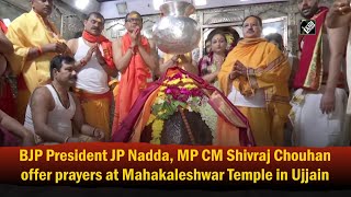 BJP President JP Nadda, MP CM Shivraj Chouhan offer prayers at Mahakaleshwar Temple in Ujjain