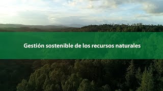 Gestión sostenible de los recursos naturales