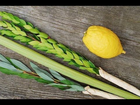 Quinto Dia De La Fiestas De Las Cabañas, Sukkot O Tabernáculos - YouTube