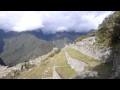 Ants from Machu Picchu