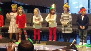 Birdies Christmas recital