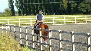 Sarah Howen \u0026 Indiana Gold - 3rd canter