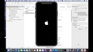 Build Webview on the xcode
