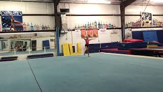 Kenzie’s level 4 Floor September 2018