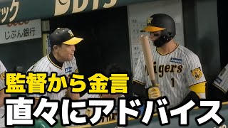 【監督から金言】チャンスの場面で森下・木浪を呼んで直々にアドバイスを送る岡田監督 2024.9.13