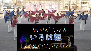 いろは組　第2部　サクラタウンよさこい 2023～師走祭～　2023年12月10日（日）