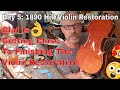 1890 W.E.Hill & Sons Violin restoration day 5 - Varnish work