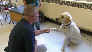 Inmates and officers work together in 'Puppies Behind Bars' program