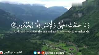 ﴿وَمَا خَلَقْتُ الْجِنَّ وَالإِنسَ إِلاَّ لِيَعْبُدُونِ﴾ ‏وديع اليمني تلاوة رائعة ستعيد سماعها مرات