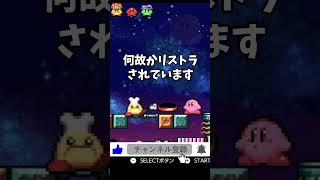 コックキャラが…【星のカービィ鏡の大迷宮】【小ネタ】