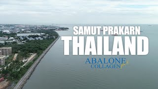 พี่วิลลี่พาทัวร์ โรงงาน Abalone Collagen