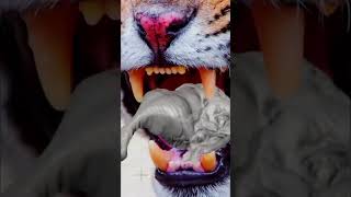 ஆபத்தான ஜாக்குவார் || Amazing Jaguar Facts || Tamil Info Share #shorts