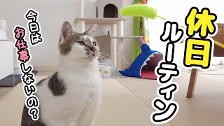 愛猫と30代子なし夫婦の休日ルーティーン