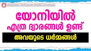 യോനിയിൽ എത്ര ദ്വാരങ്ങൾ ഉണ്ട്. അവയുടെ ധർമ്മങ്ങൾ / educational purpose