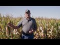 agronomic product overview f2f seed