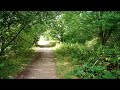 walk around our lake castlefields balancing pond stafford