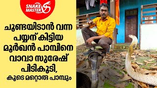 ചൂണ്ടയിടാൻ വന്ന പയ്യന് മീനിന് പകരം കിട്ടിയത് പാമ്പുകളെ... | Vava Suresh | Snakemaster EP 998