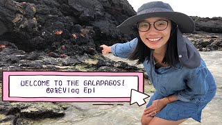 [ENG SUB] Galapagos Islands Vlog Ep1｜Day1 in the Galapagos｜加拉帕戈斯群岛｜邮轮 🚢 初体验｜Santa Cruz II Cruise