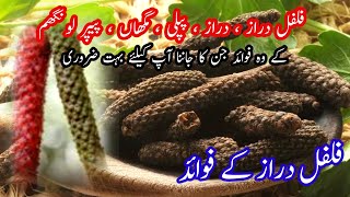 filfil daraz Ke fawaid | long paper benefits | pipli