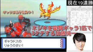 【金ネジキ】ネジキを龍舞ギャラ1匹で3タテする加藤純一