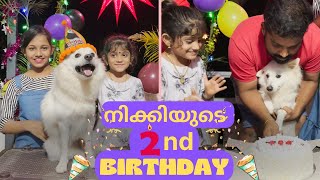 നിക്കിയുടെ Birthday പാർട്ടിക്ക് അത്തിപ്പാറ അമ്മച്ചി വന്നപ്പോൾ