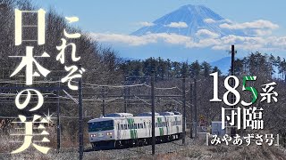 【185系電車団臨】信州を走るイッパゴさんと美しい山々のコラボ！